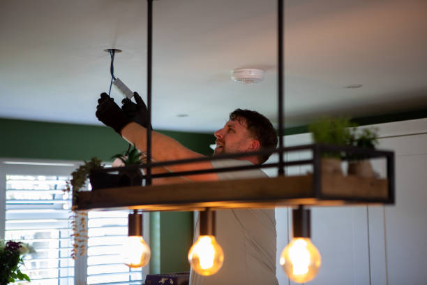 Best Electric Panel Repair  in Highland Park, IL
